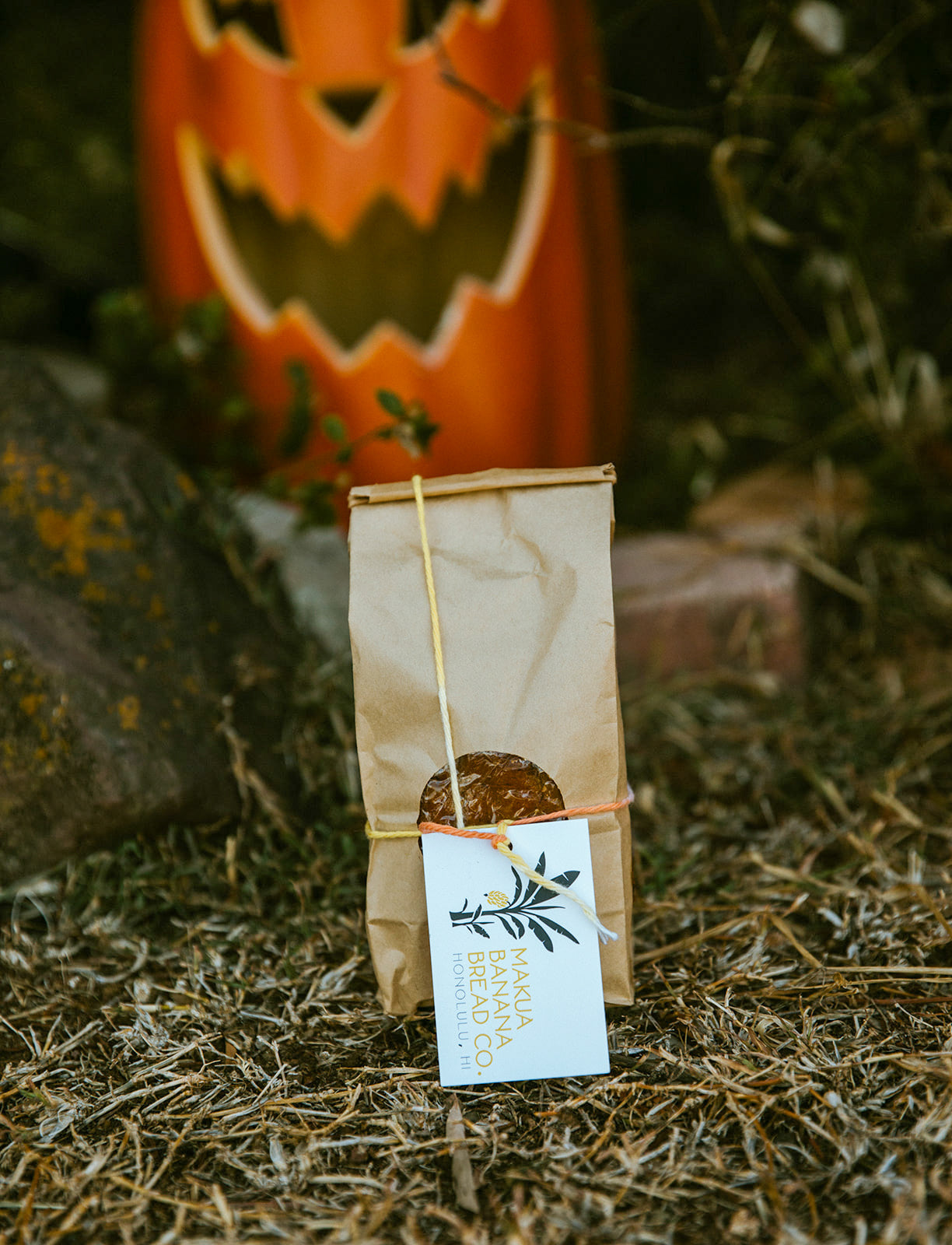 Pumpkin Choc Chip
